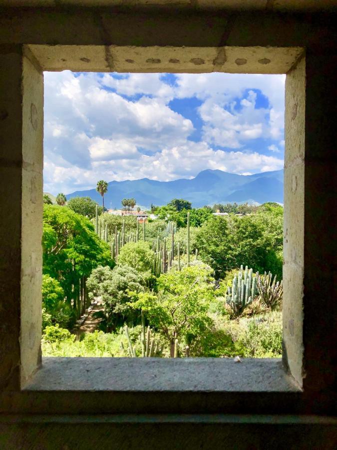 Beautiful Apartment In Oaxaca City'S Best Location ภายนอก รูปภาพ