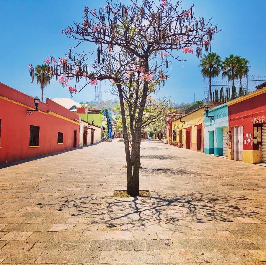 Beautiful Apartment In Oaxaca City'S Best Location ภายนอก รูปภาพ