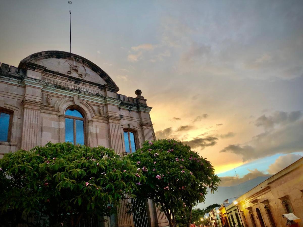 Beautiful Apartment In Oaxaca City'S Best Location ภายนอก รูปภาพ